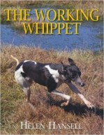 the-working-whippet3